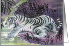 Baby tiger fetching the moon card