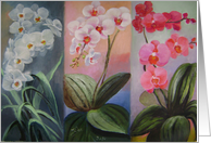 Butterfly orchids trio card