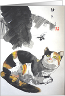 Inspirational, cat watching butterfly card
