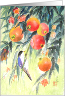 ripening seasons card