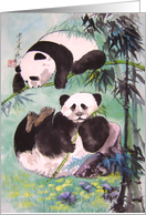 encouragement, born free, panda bears,i llustrations card