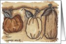 Greeting Card, Thanksgiving, Pumpkin, Card