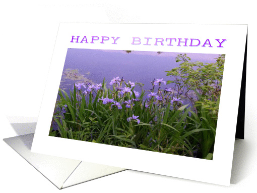 HAPPY BIRTHDAY-FRIEND card (258553)