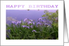 HAPPY BIRTHDAY-FRIEND card