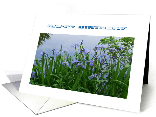 HAPPY BIRTHDAY card (258583)