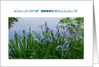 HAPPY BIRTHDAY card