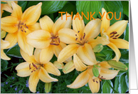 THANK YOU card
