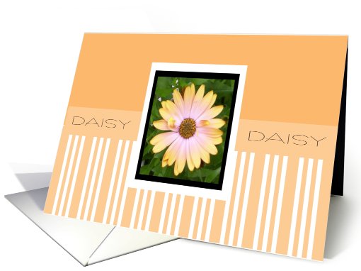 DAISY card (457358)