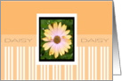 DAISY card