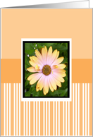 just a little note card