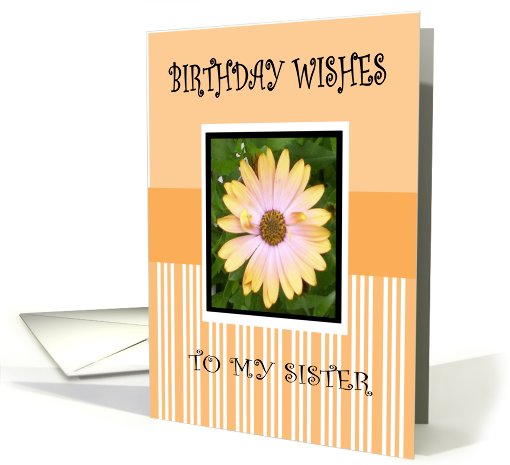 BIRTHDAY SISTER card (457643)