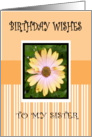 BIRTHDAY SISTER card