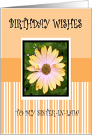 BIRTHDAY SISTER-IN-LAW card