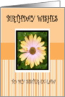BIRTHDAY SISTER-IN-LAW card