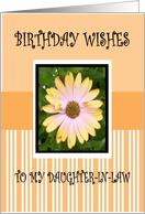 BIRTHDAY DAUGHTER-IN-LAW card