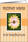 BIRTHDAY DAUGHTER-IN-LAW card