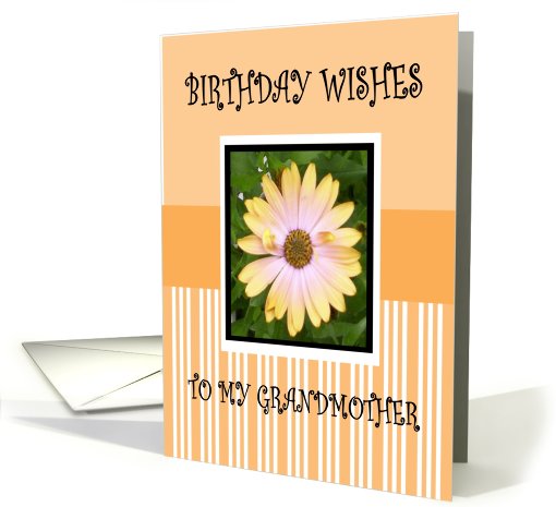 BIRTHDAY GRANDMOTHER card (458522)