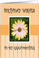 BIRTHDAY GRANDMOTHER card