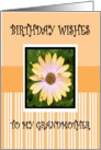 BIRTHDAY GRANDMOTHER card