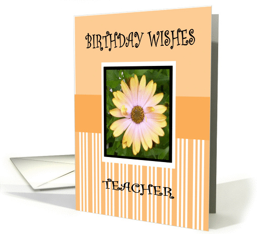 BIRTHDAY  TEACHER card (458527)