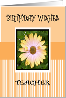 BIRTHDAY TEACHER card