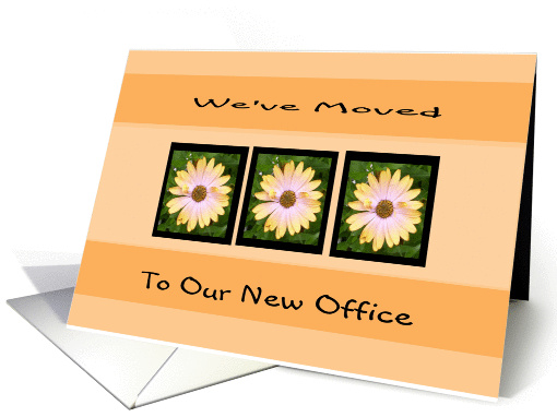 we've moved -office card (458816)