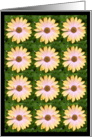 loves me loves me not card
