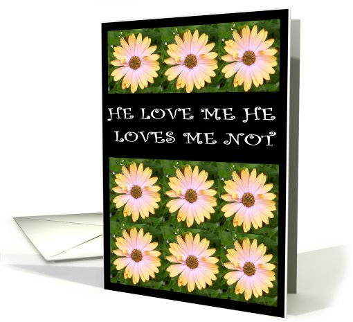 He Loves Me He Loves Me Not
 card (458899)