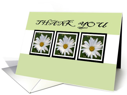 THANK YOU card (468293)