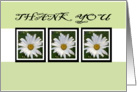THANK YOU card