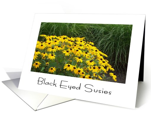 Black Eyed Susies
 card (473644)