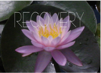 RECOVERY FRIEND