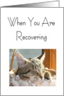 When You Are Recovering card