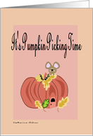 It’S Pumpkin Picking Time card
