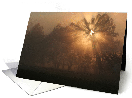 early morning rays sunrise inspiration card (751873)