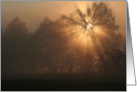 early morning rays sunrise inspiration card