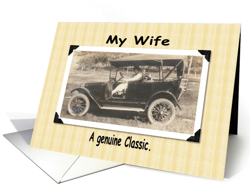 Wife Birthday card (209818)