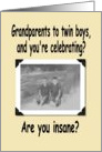 Grandparents to Twins II card