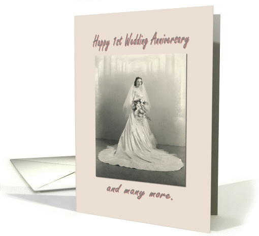 Happy 1st wedding anniversary card (355303)
