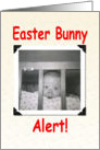 Easter Bunny Alert card