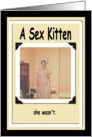 A SEX Kitten, she wasn’t - FUNNY card