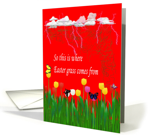 Easter grass storm card (393421)