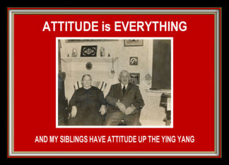 Siblings Attitude-...