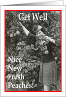 Nice Fresh Peaches - Get Well - Boob Job card