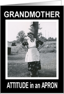 Grandmother Mother’s Day- Funny - Retro card