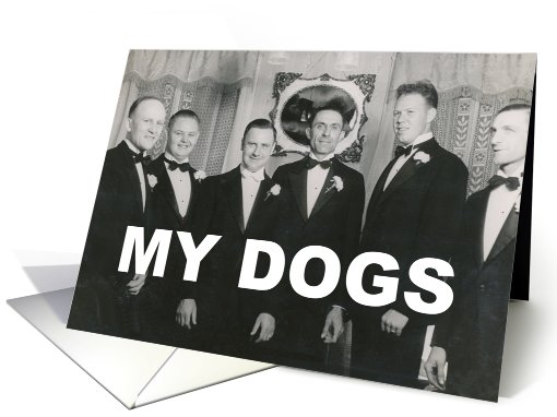 Groomsman Invitation MY DOGS card (747924)