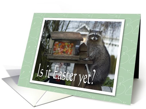 Easter Jelly Bean Raccoon card (773598)