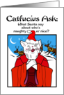 Holidays Christmas Catfucius Naughty Nice Cat Humor Cartoon card