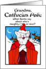 Grandma Holidays Christmas Catfucius Naughty Nice Cat Humor Cartoon card