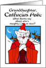 Granddaughter Christmas Catfucius Naughty Nice Cat Humor Cartoon card